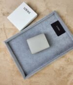 【ロエベ】ミニウォレット 4カラー 2025新作 今だけ限定 - 画像 (14)