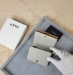 【ロエベ】ミニウォレット 4カラー 2025新作 今だけ限定 - 画像 (10)